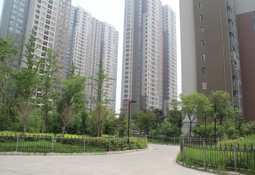 武汉瑞锦小区绿化工程